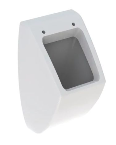 GEBERIT Pareo Pisuar biały połysk 236100000 236100000 od 
