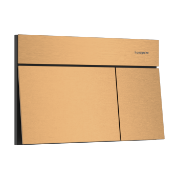 - HANSGROHE iFrame Element E Przycisk spłukujący brąz szczotkowany 66003140 - 66003140 - Łazienki Szydłowski