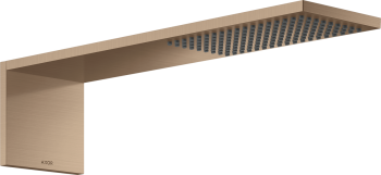  - AXOR ShowerComposition Moduł głowicy prysznicowej 110/220 1jet 12592310 - 12592310 - Łazienki Szydłowski