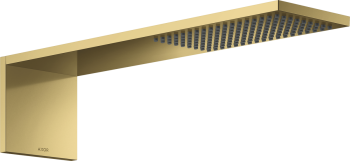  - AXOR ShowerComposition Moduł głowicy prysznicowej 110/220 1jet 12592990 - 12592990 - Łazienki Szydłowski