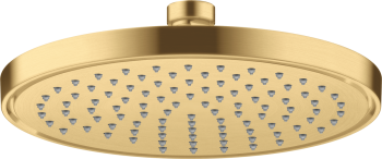  - AXOR ShowerSolutions Dedzczownica prysznicowa 22 cm 1jet EcoSmart+ złoty optyczny szczotkowany 35388250 - 35388250 - Łazienki Szydłowski