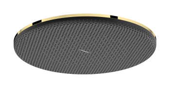 - HANSGROHE Raindance Alive S deszczownica prysznicowa 300 1jet EcoSmart złoty optyczny polerowany 24521990 - 24521990 - Łazienki Szydłowski