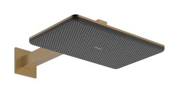  - HANSGROHE Raindance Alive Q deszczownica z ramieniem 210/340 2jet brąz szczotkowany 24550140 - 24550140 - Łazienki Szydłowski