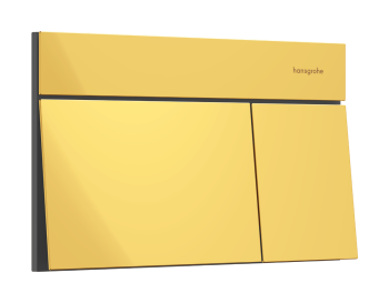  - HANSGROHE iFrame Element E Przycisk spłukujący złoty optyczny polerowany 66003990 - 66003990 - Łazienki Szydłowski